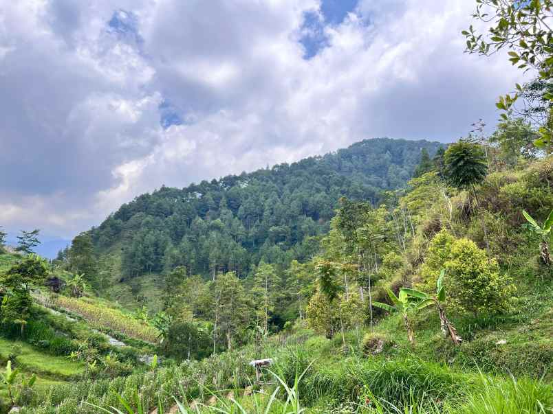 dijual tanah kemuning karanganyar