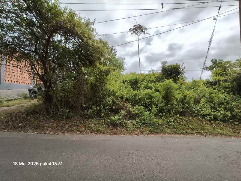 dijual tanah kutuh badung bali