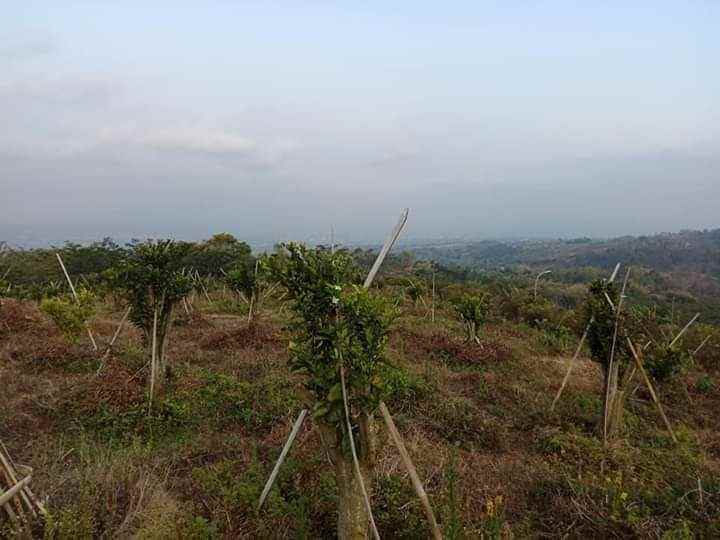 dijual tanah lokasi jalibar kota batu malang