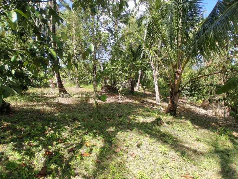 dijual tanah luas besar los sungai view perbukitan