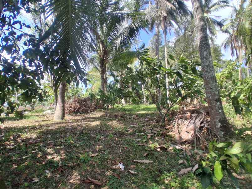 dijual tanah luas besar los sungai view perbukitan
