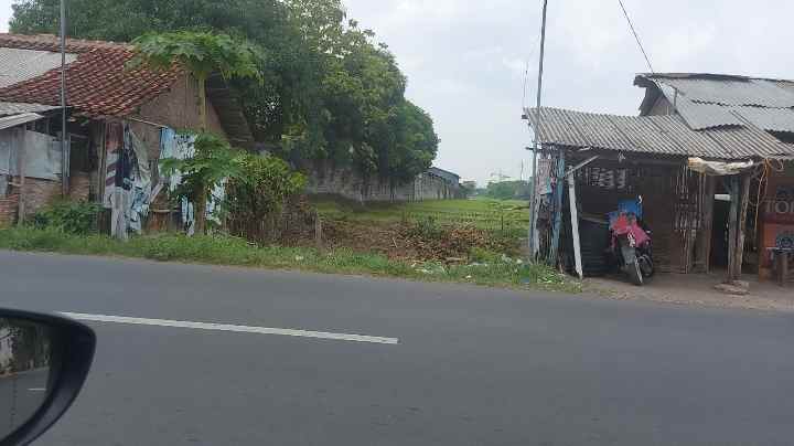 dijual tanah lurah plumbon cirebon