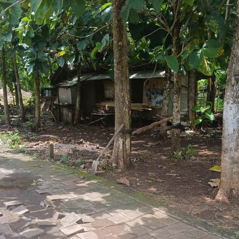 dijual tanah melangkaja