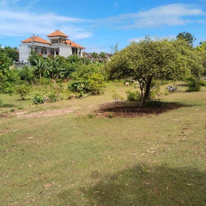 dijual tanah melangkaja