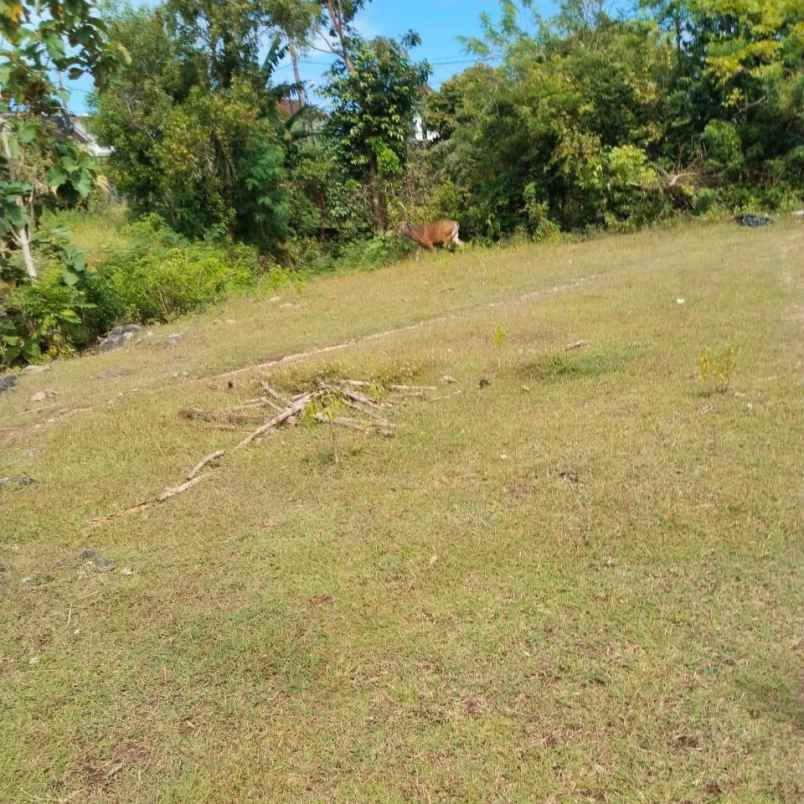 dijual tanah melangkaja