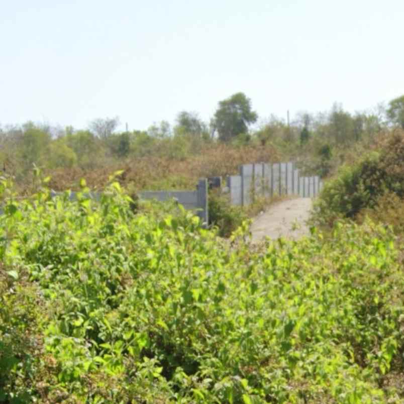 dijual tanah pantai pandawa
