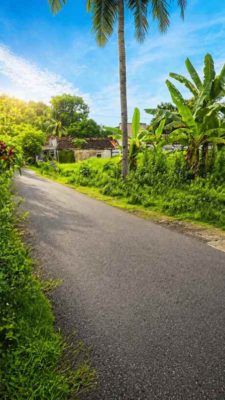 dijual tanah pengasih kulonprogo