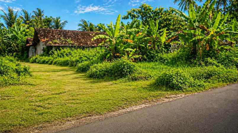 dijual tanah pengasih kulonprogo