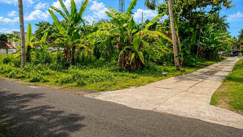 dijual tanah pengasih kulonprogo