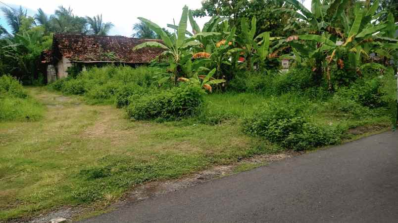 dijual tanah pengasih kulonprogo