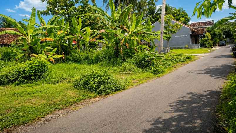 dijual tanah pengasih kulonprogo