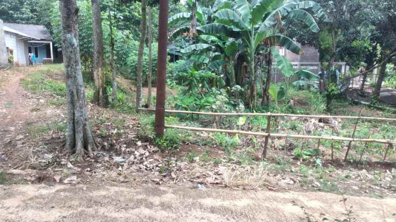 dijual tanah perkebunan asri