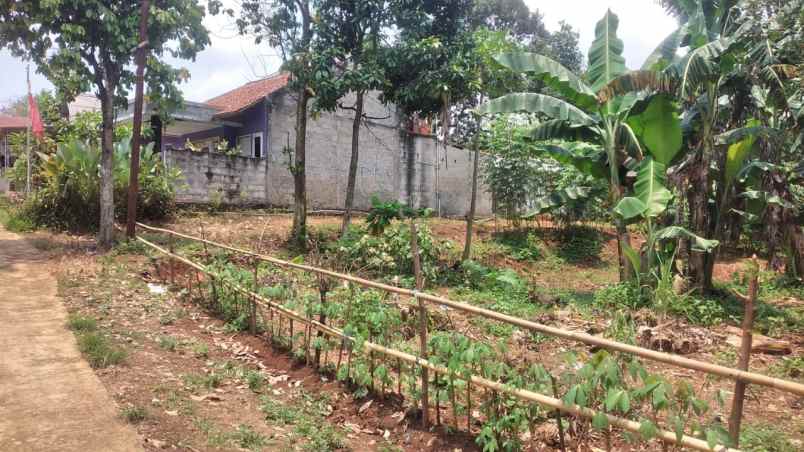 dijual tanah perkebunan asri