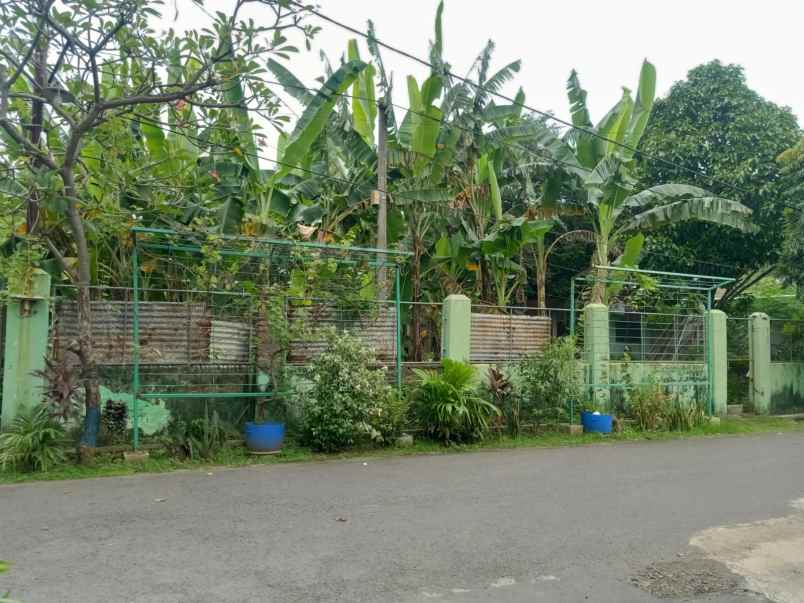 dijual tanah perumahan kebun jaya