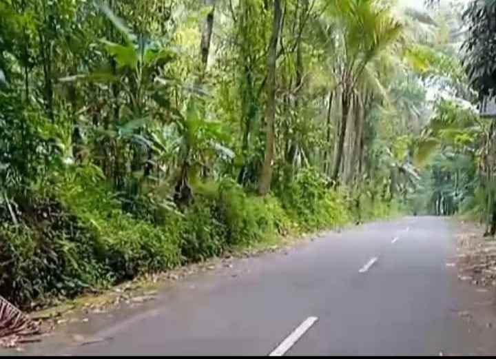 dijual tanah peusing cidomba