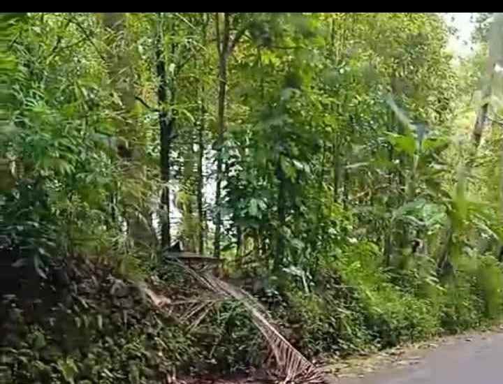 dijual tanah peusing cidomba