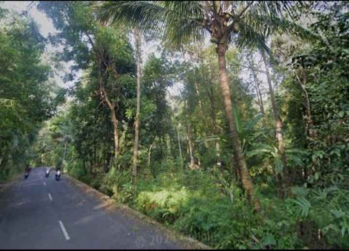 dijual tanah peusing cidomba