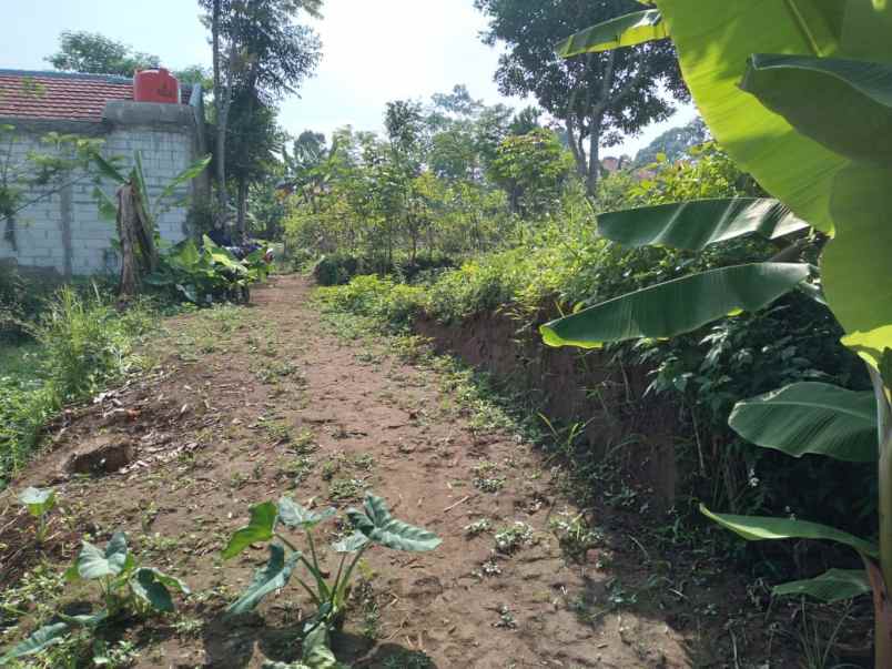 dijual tanah pinggir jalan sayap