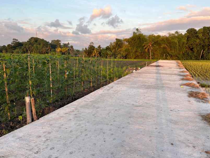 dijual tanah premium view laut di kedungu