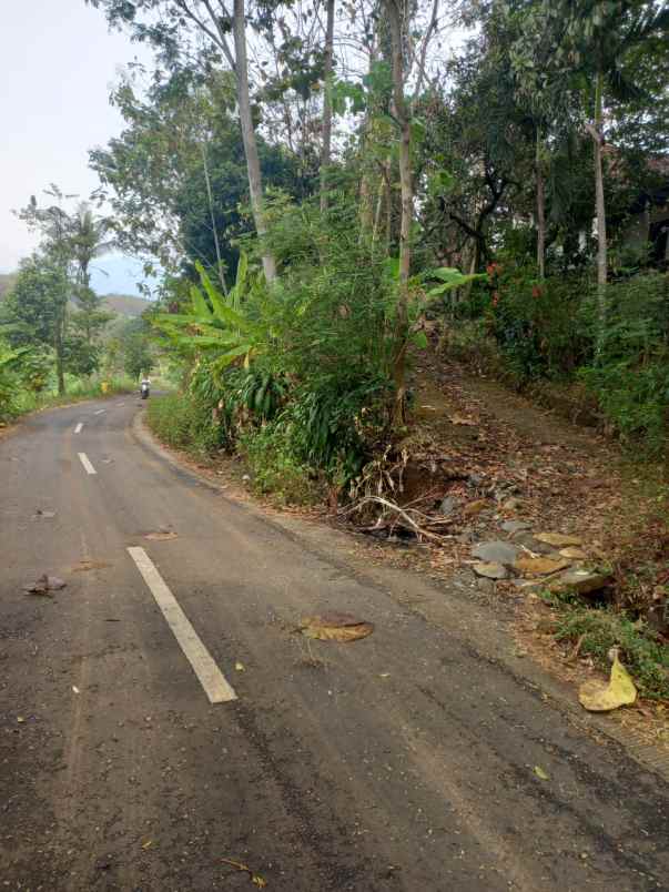 dijual tanah pulosari bareng jombang