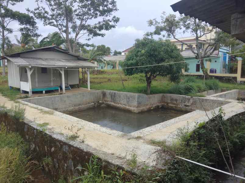 dijual tanah sampora cilimus