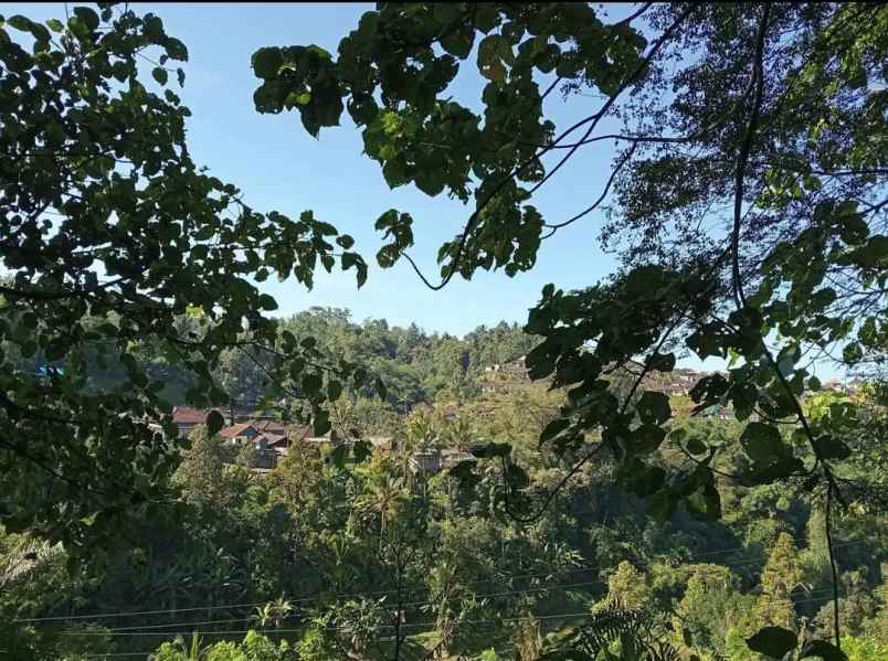 dijual tanah sanda pupuan tabanan