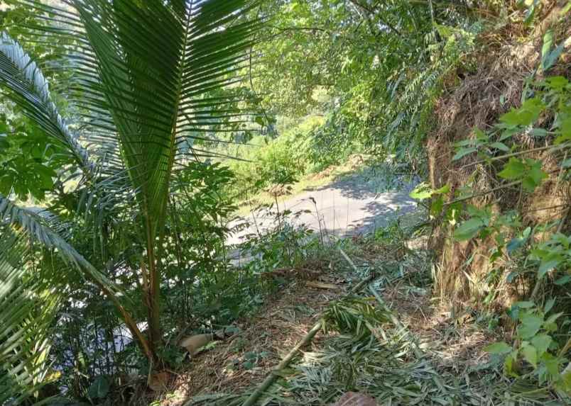 dijual tanah sanda pupuan tabanan