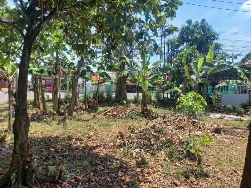 dijual tanah strategis di jl raya cipeundeuy subang