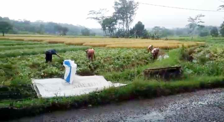 dijual tanah strategis pinggir jalan kabupaten