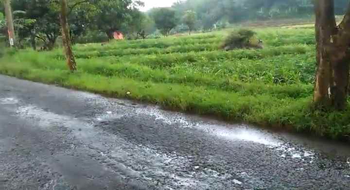 dijual tanah strategis pinggir jalan kabupaten