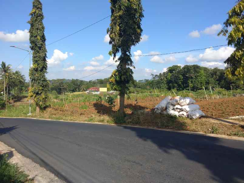 dijual tanah strategis pinggir jalan kabupaten