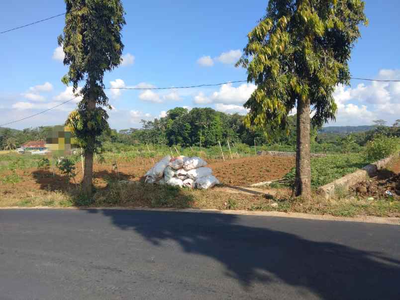 dijual tanah strategis pinggir jalan kabupaten