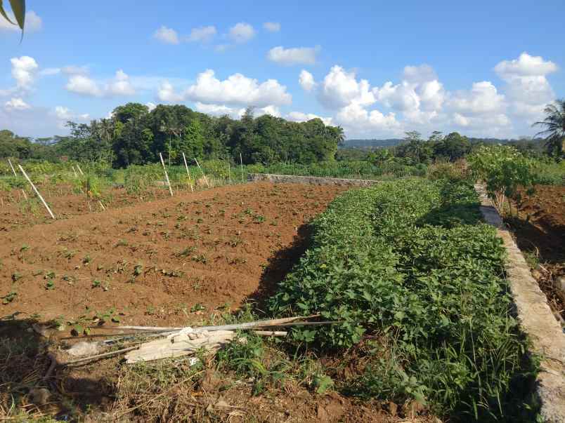 dijual tanah strategis pinggir jalan kabupaten