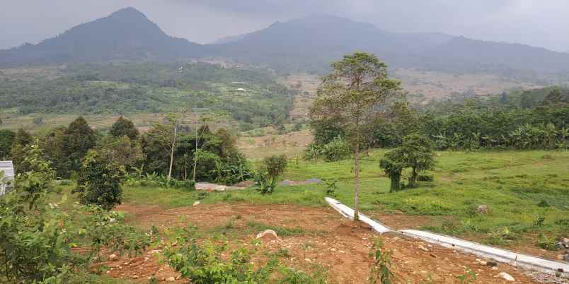 dijual tanah sukatani tanjung sari kab