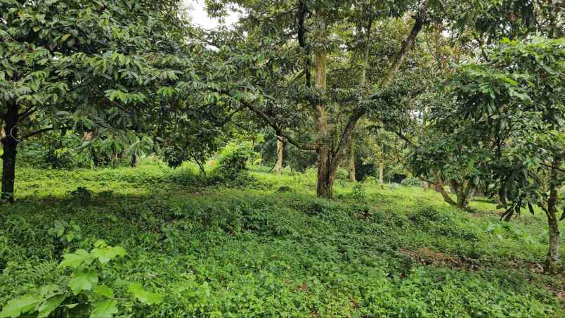 dijual tanah tamansari