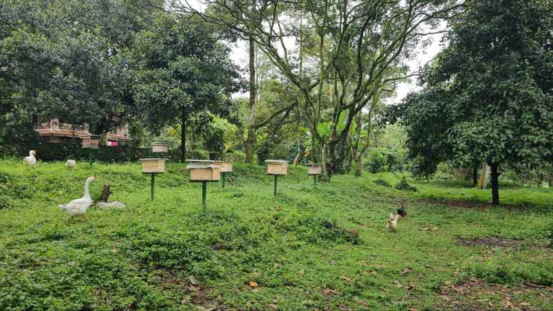 dijual tanah tamansari