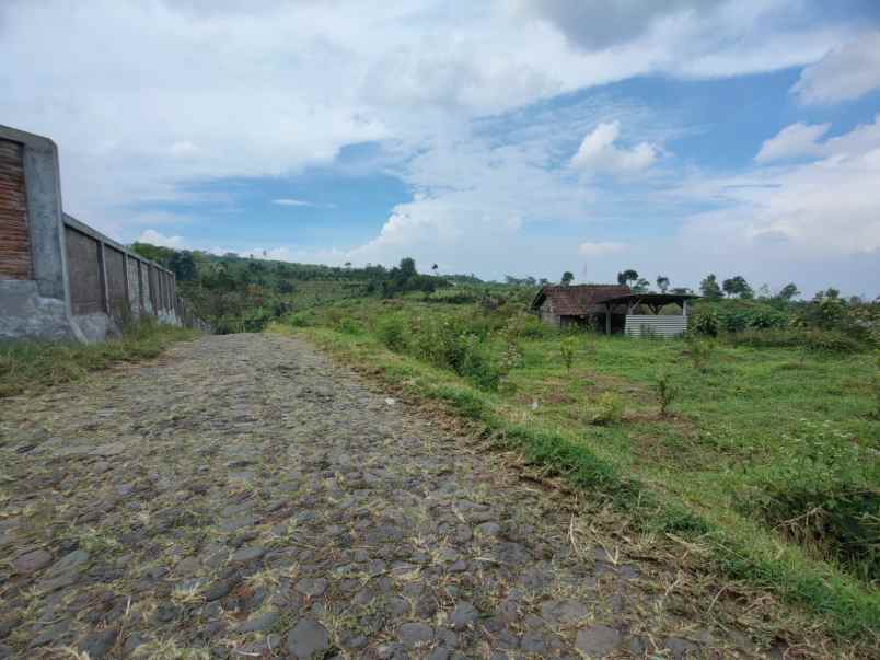 dijual tanah tlogorejo