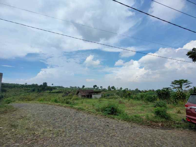 dijual tanah tlogorejo