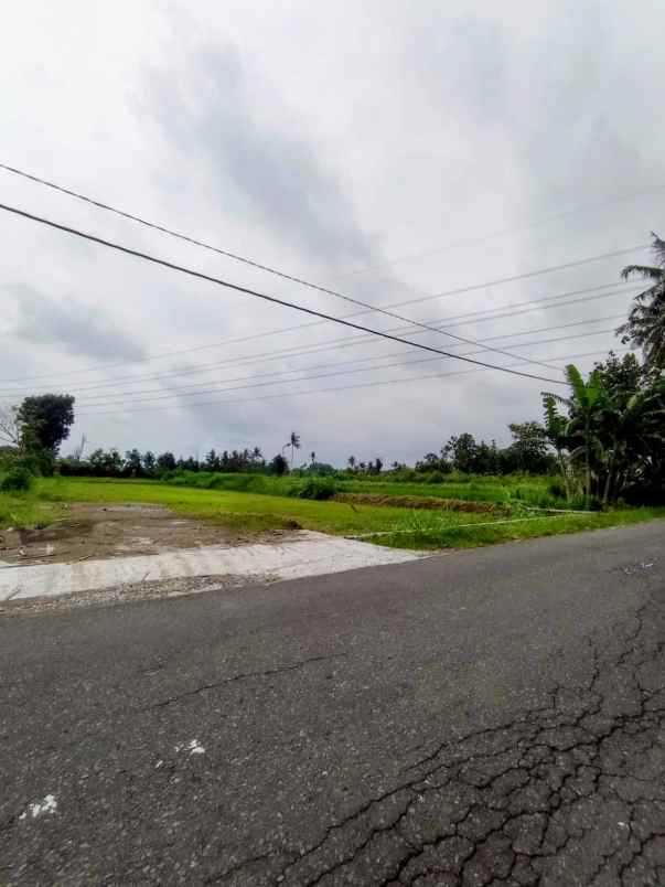 dijual tanah tonggalan wonorejo