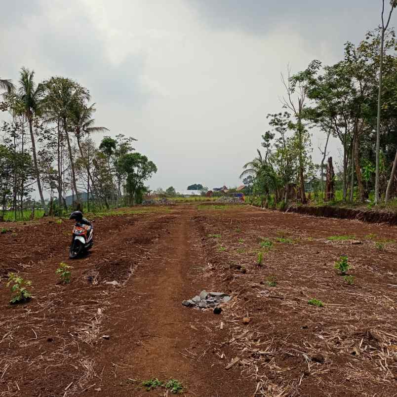 dijual tanah toyomarto singosari malang