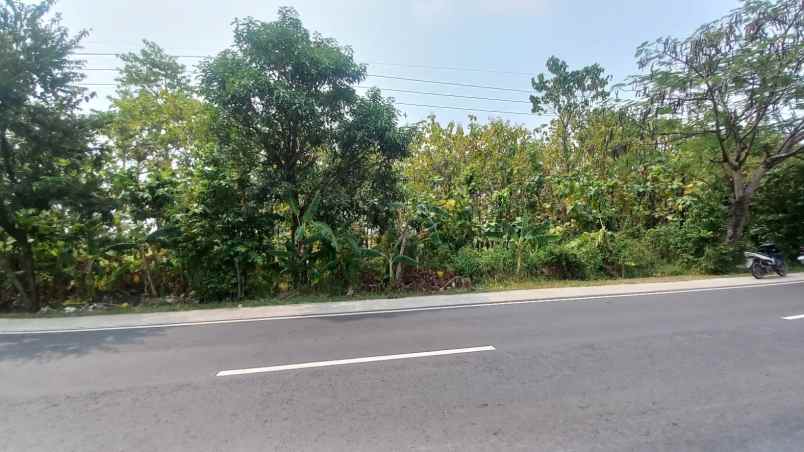 dijual tanah ujung jaya