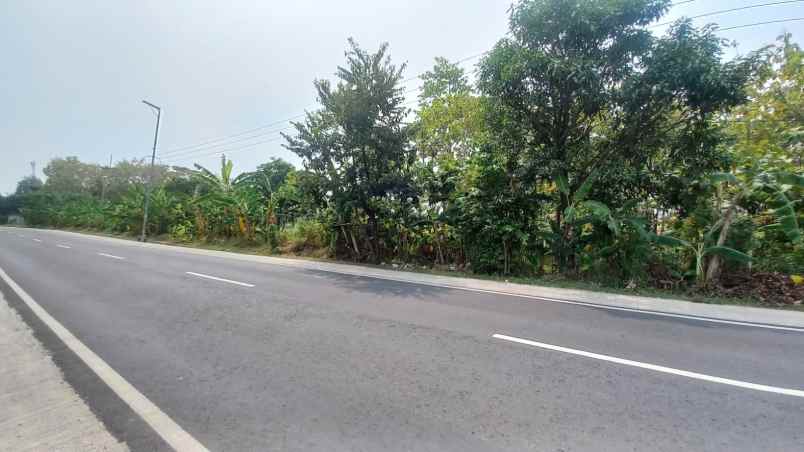 dijual tanah ujung jaya