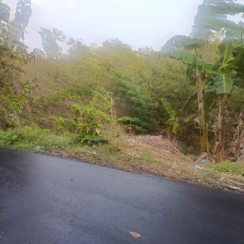 dijual tanah unud raya uluwatu