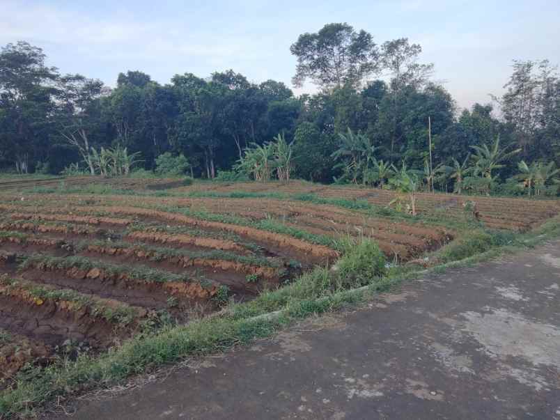 dijual tanah view gunung akses jl mobil