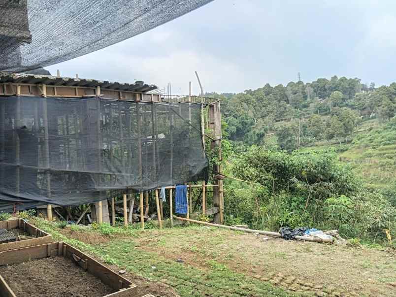 dijual villa cipageran