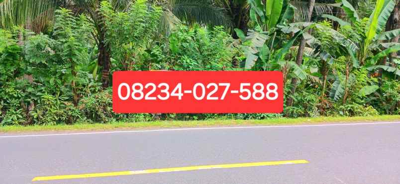 disewakan tanah jalan raya padang bai