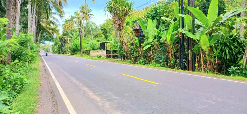 disewakan tanah jalan raya padang bai