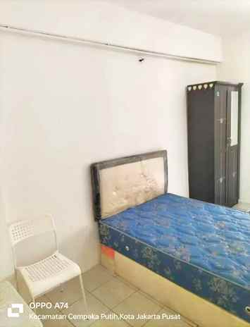 green pramuka studio ff include ipl 2ftwyudha0