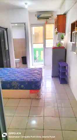 green pramuka studio ff include ipl 2ftwyudha0