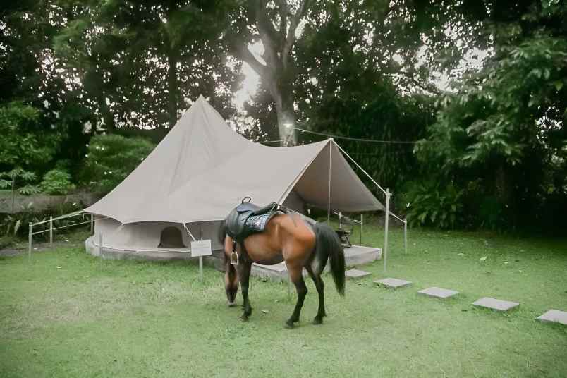 hotel murah di taman safari 2